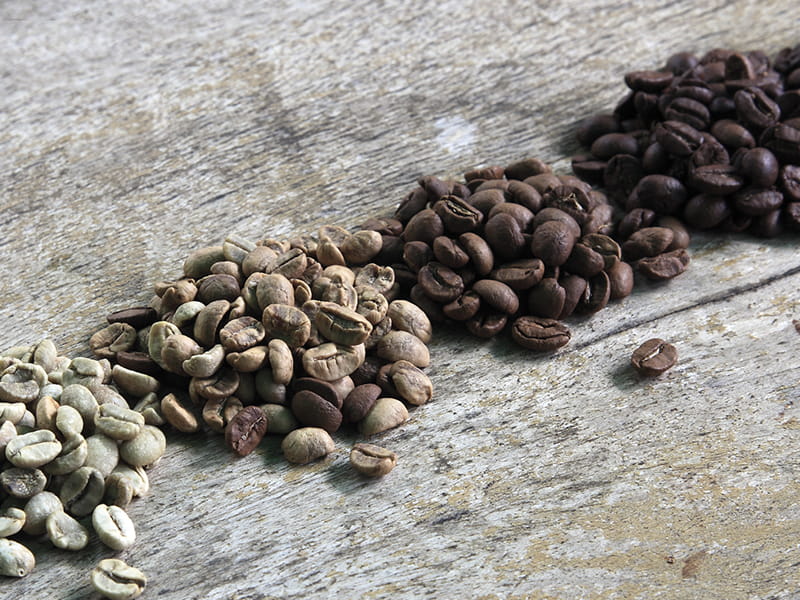 Jura outlet coffee beans